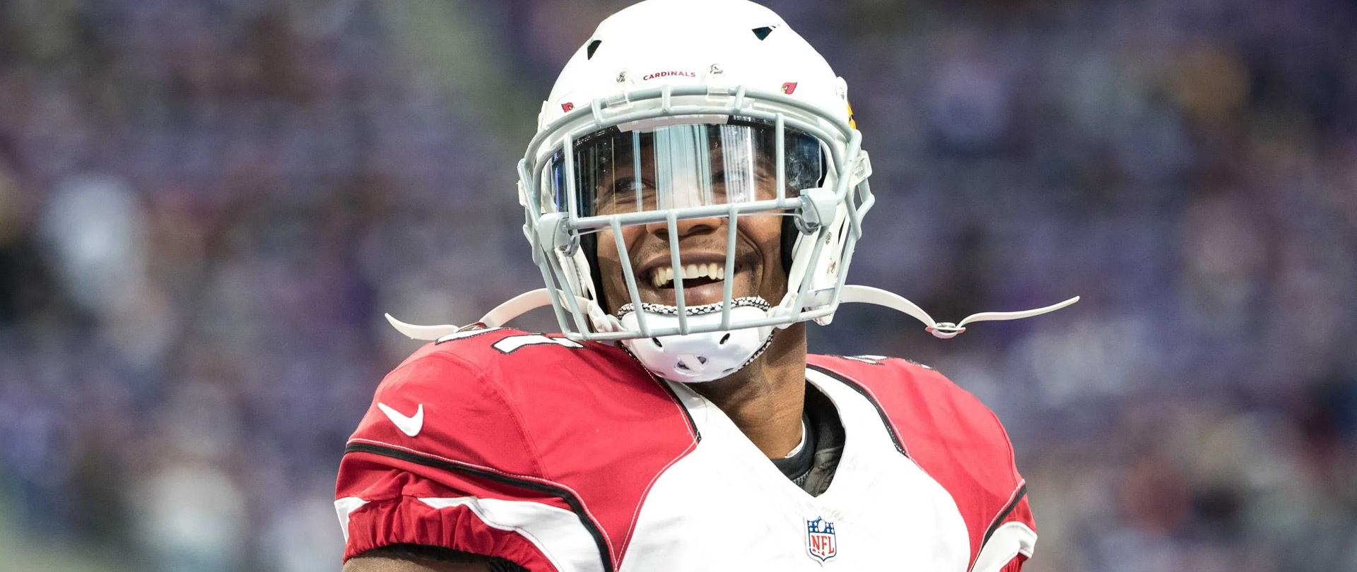 david-johnson-season-15