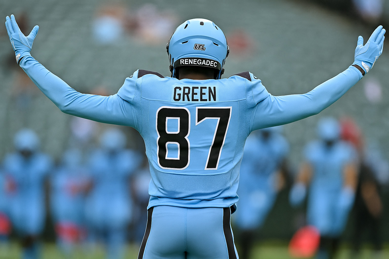 season-33-seth-green-new-orleans-saints